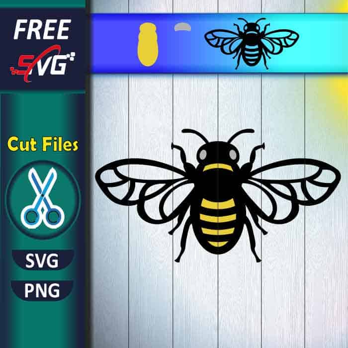 Layered Bee SVG free, Cut File for Cricut